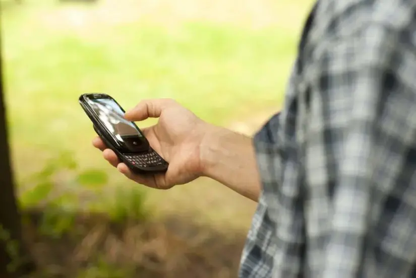 person holding a cell phone