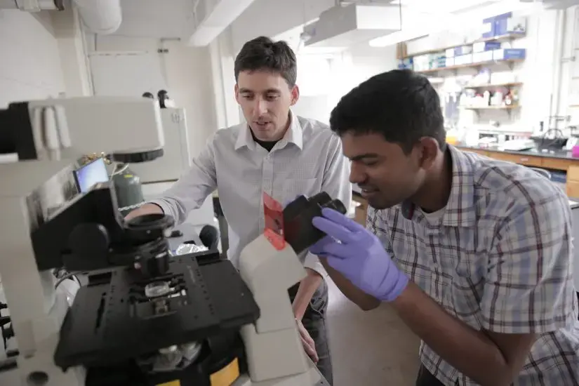 researchers in the lab