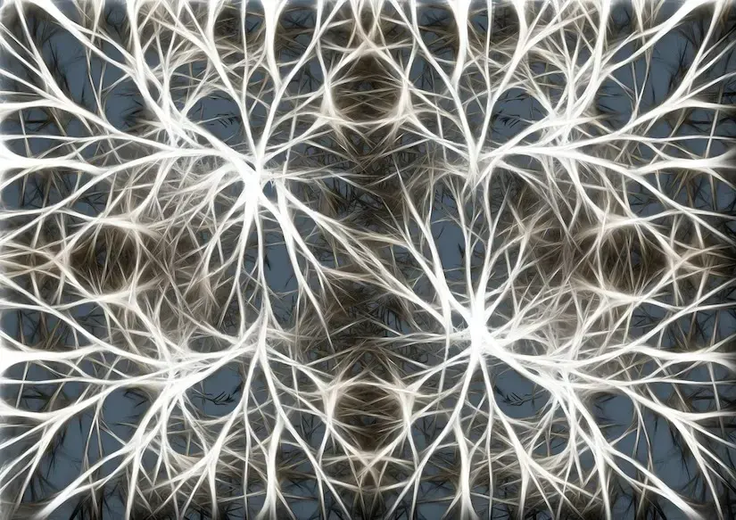 brain cells image
