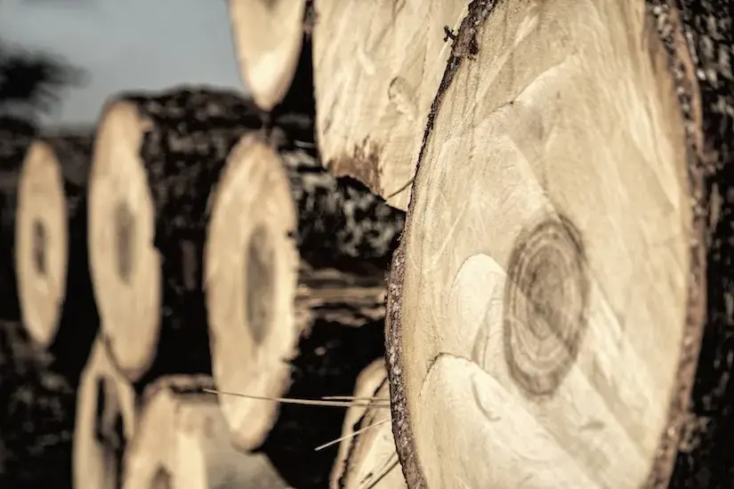 Close-up and side view of a stack of pine logs