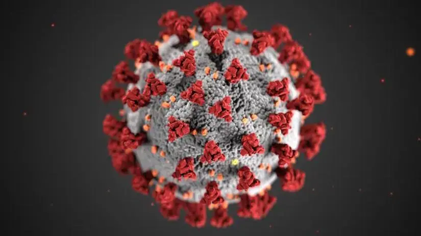 coronaviruses