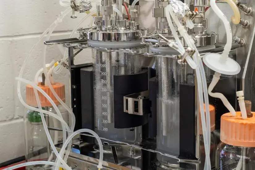 bioreactor