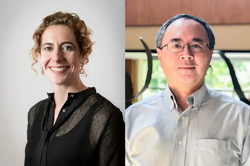 Laura Albert and Jingshan Li