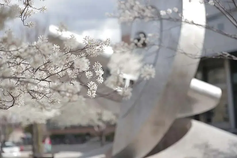engineering fountain in spring