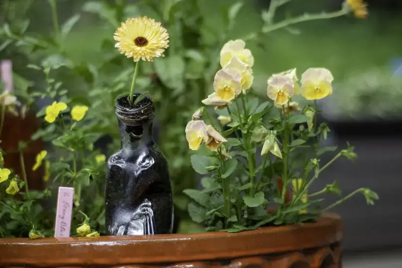 flower in plastic bottle