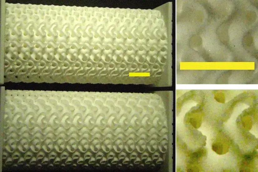 gyroid lattice
