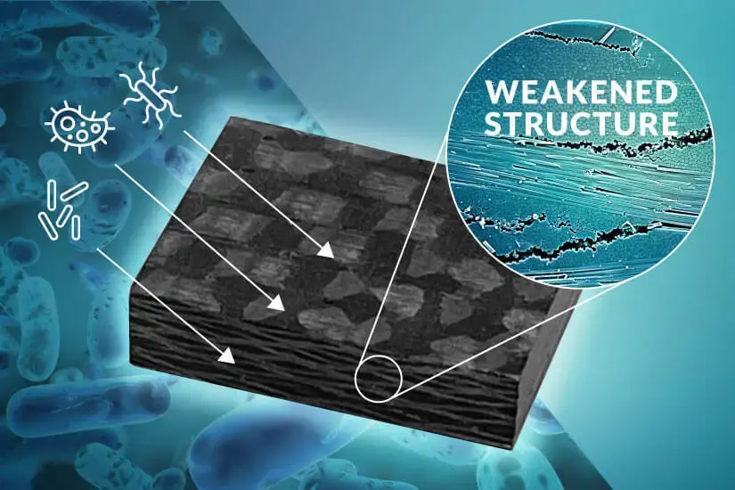 Graphic showing microbial interactions weakening a polymer