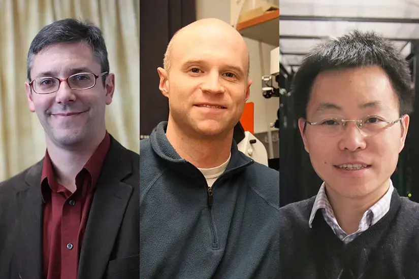 George Huber, William Murphy and Zongfu Yu