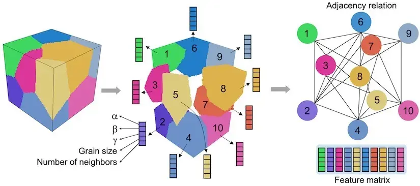 graph neural network