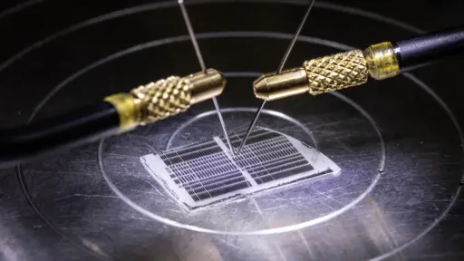 Needle probes supplying electrical signals to light-emitting diodes.