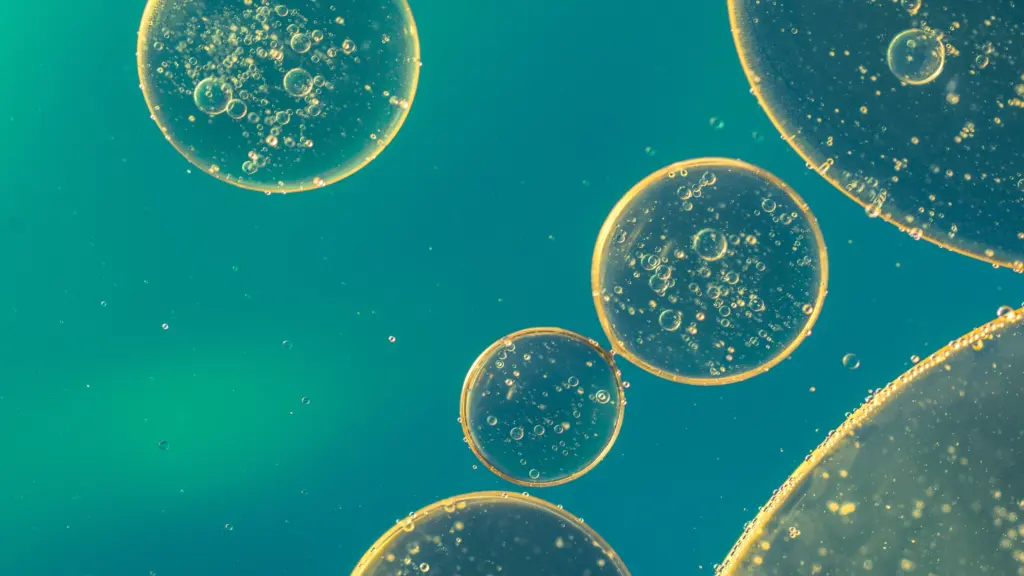Close up of bubbles in liquid