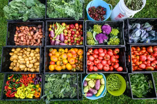 Fresh produce grown by students