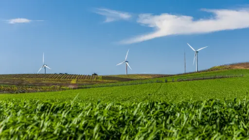 Green field, wind turbines and blue sky.