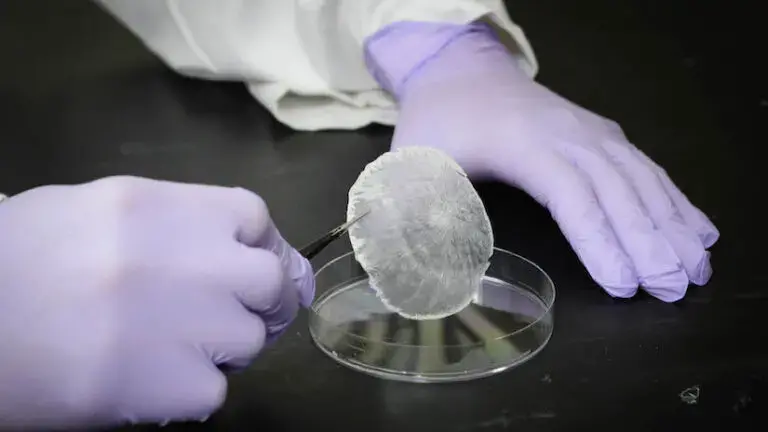 A new piezoelectric, bioresorbable thin film is made from the amino acid gamma glycine and can be used in transient implantable electromechanical devices.
