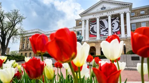 Bascom Hall with tulips in foreground