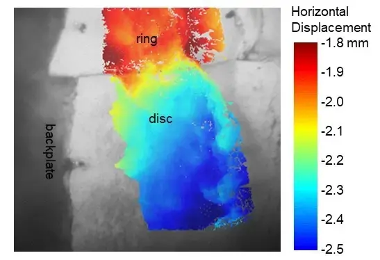 Digital image correlation used to obtain displacement fields at the cartilage-cartilage interface