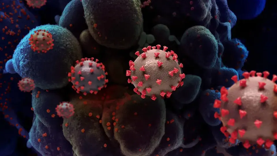 Zombie covid virus