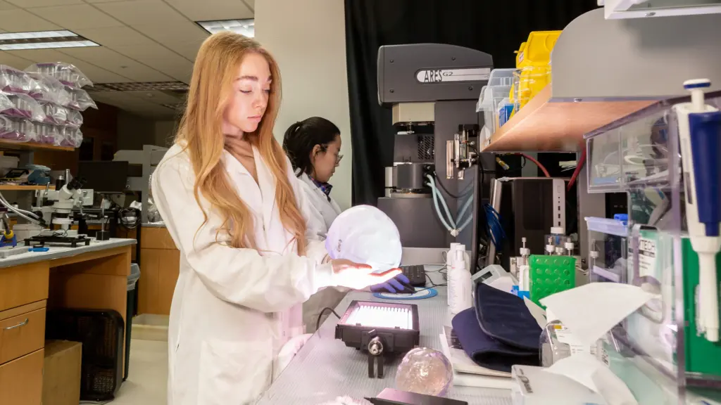 Grace Kreissler holds a clear 3D-printed skull in the lab