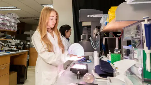 Grace Kreissler holds a clear 3D-printed skull in the lab