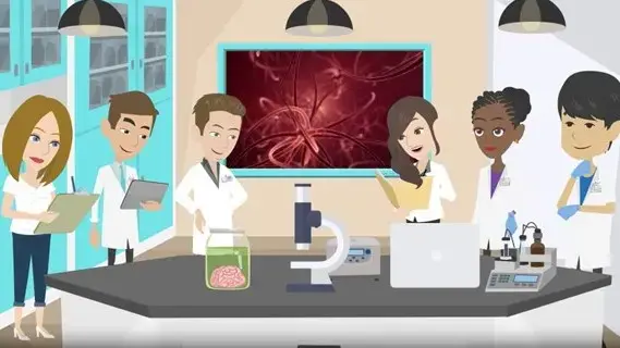 Christian Franck futurum careers animation