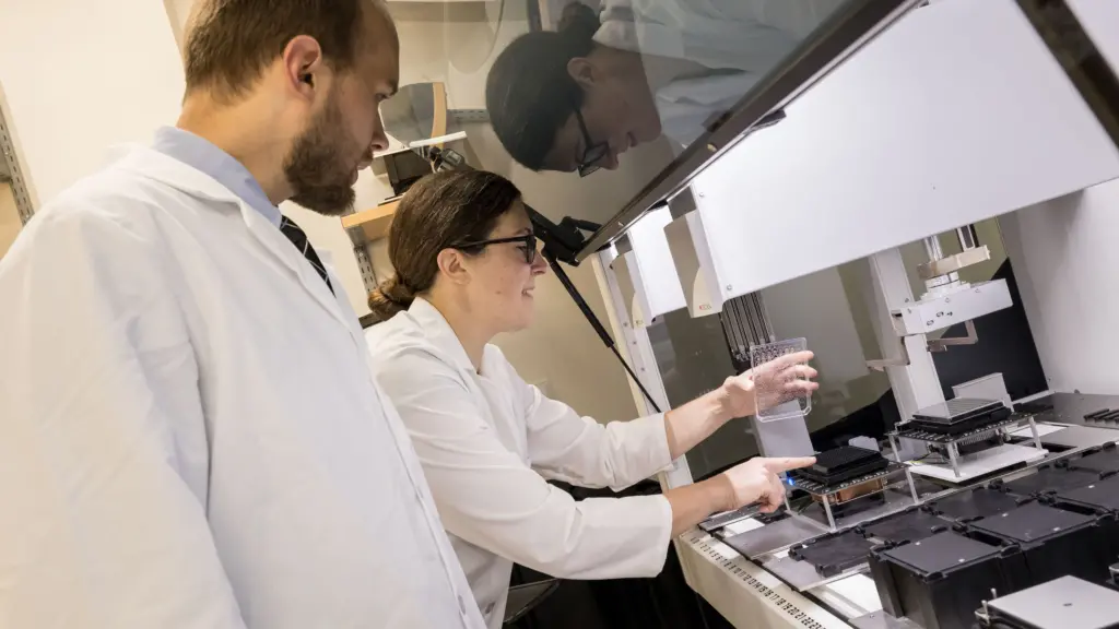 Associate Professor Megan McClean and PhD student Zack Harmer