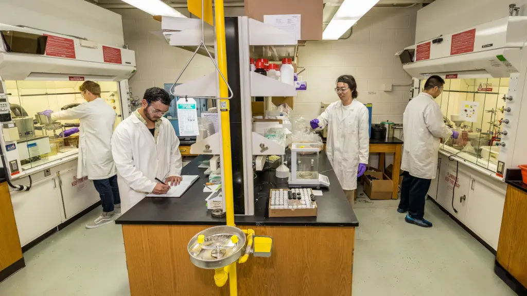 Students and postdoctoral fellows researching innovations in STRAP recycling
