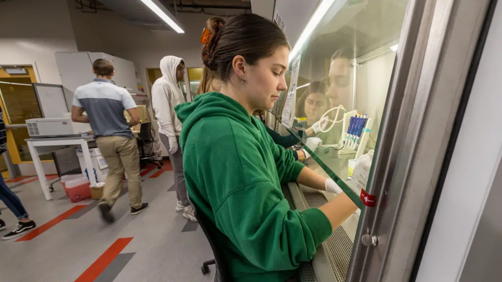 Carley Schwartz works in a biosafety cabinet as part of Biomedical Engineering 602: CRISPR Genome Editing and Engineering Laboratory