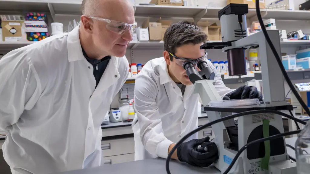 Professor William Murphy and PhD student Joshua Choe use a microscope