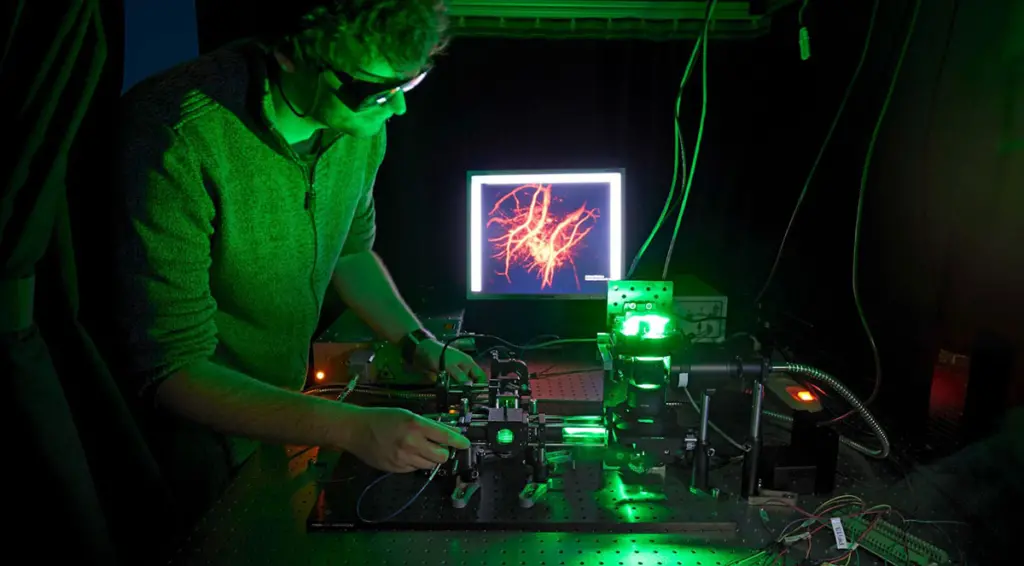Scientist at imaging instrument