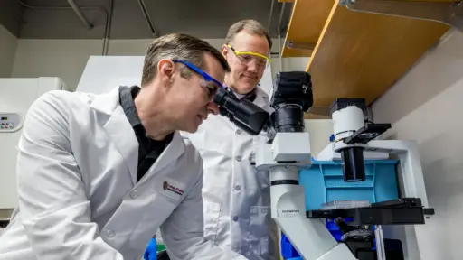 Sean Palecek and Eric Shusta working in the lab