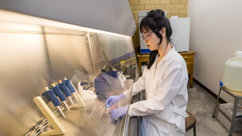 PhD student Yizhou Yao working in the lab
